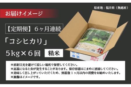 【6ヶ月連続定期便】令和6年産 福井県産奥越コシヒカリ5kg ×1袋（5kg × 6ヶ月） [H-015003]