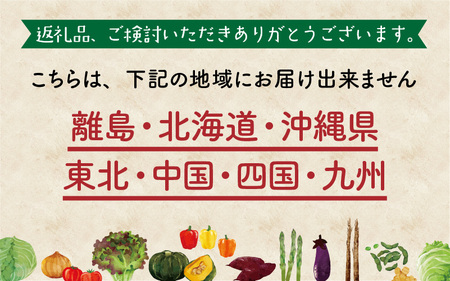 季節の野菜5～10種類と令和6年産 コシヒカリ2kg [A-020011]