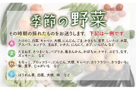 季節の野菜5～10種類と令和6年産 コシヒカリ2kg [A-020011]