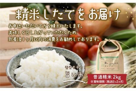 季節の野菜5～10種類と令和6年産 コシヒカリ2kg [A-020011]