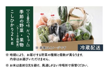 季節の野菜5～10種類と令和6年産 コシヒカリ2kg [A-020011]