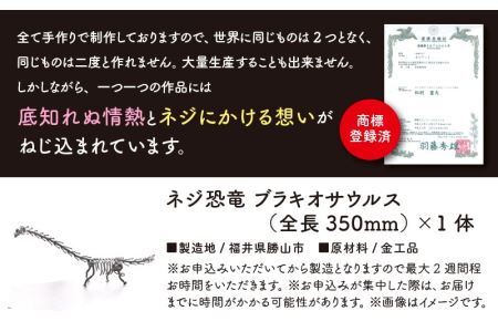 オールステンレスネジ恐竜　ブラキオサウルス(全長350mm) [A-025002]