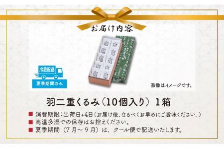 【ランキング最高1位！人気の返礼品です！】羽二重 くるみ 10個入り  [A-032007]