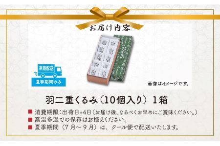 【ランキング最高1位！人気の返礼品です！】羽二重 くるみ 10個入り  [A-032004]