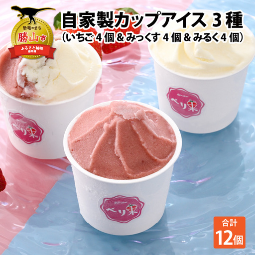 自家製カップアイス3種セット（いちご 4個 & みっくす 4個 & みるく 4個） [A-045003]