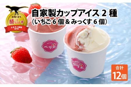 自家製カップアイス2種セット（いちご 6個 & みっくす 6個） [A-045002]