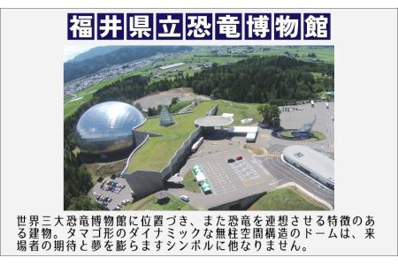 ふくいジオラマ百景　ダイナミック福井県立恐竜博物館 [A-047001]