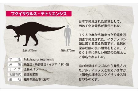 ふくい恐竜ジオラマ 【１】 フクイサウルス [B-047001]