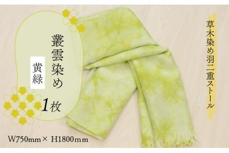 草木染め羽二重ストール 黄緑 叢雲染め [C-053001]