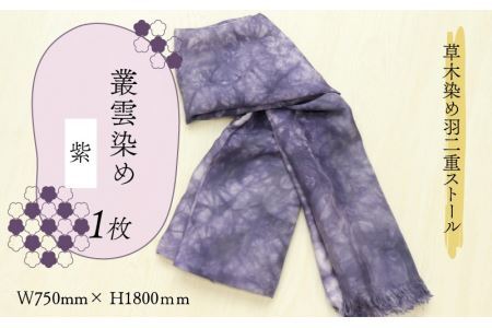 草木染め羽二重ストール 紫 叢雲染め [C-053003]