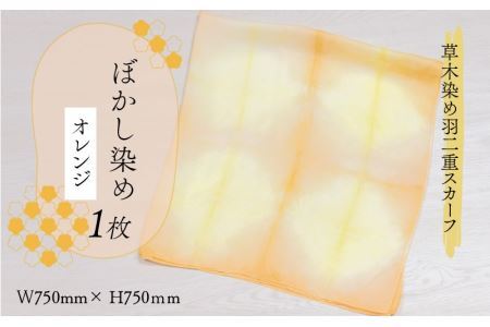 草木染め羽二重スカーフ オレンジ ぼかし染め [A-053005]