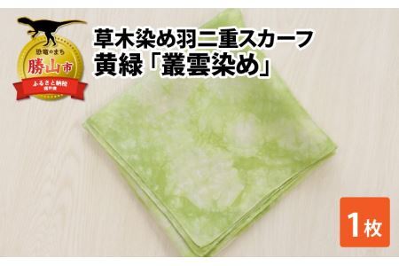 草木染め羽二重スカーフ 黄緑 叢雲染め [A-053001]