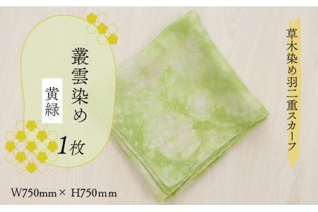 草木染め羽二重スカーフ 黄緑 叢雲染め [A-053001]