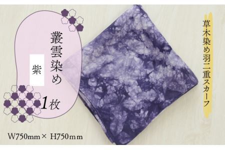 草木染め羽二重スカーフ 紫 叢雲染め [A-053003]