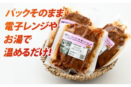 若狭牛＆放牧ジャージー牛 Ｗハンバーグ 九頭竜まいたけデミグラスソース[A-054005]