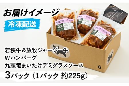 若狭牛＆放牧ジャージー牛 Ｗハンバーグ 九頭竜まいたけデミグラスソース[A-054005]