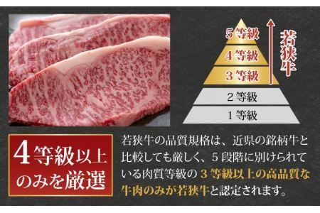 【福井のブランド牛肉】若狭牛 サーロインステーキ用 510g（170g×3枚） [C-058002]