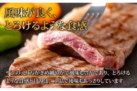 【福井のブランド牛肉】若狭牛 サーロインステーキ用 510g（170g×3枚） [C-058002]