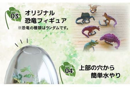 恐竜＋苔＋天然石が作り出す、癒やしの自然空間！ ジュラリウム手作りキット [B-070001]