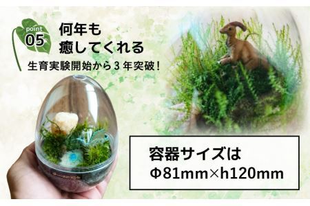 恐竜＋苔＋天然石が作り出す、癒やしの自然空間！ ジュラリウム手作りキット [B-070001]