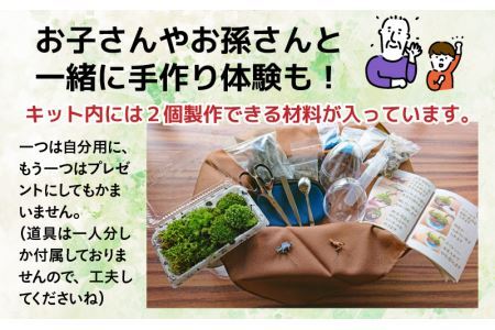 恐竜＋苔＋天然石が作り出す、癒やしの自然空間！ ジュラリウム手作りキット [B-070001]