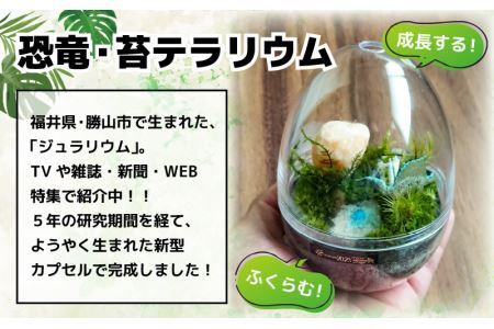 恐竜＋苔＋天然石が作り出す、癒やしの自然空間！ ジュラリウム Mサイズ [A-070002]