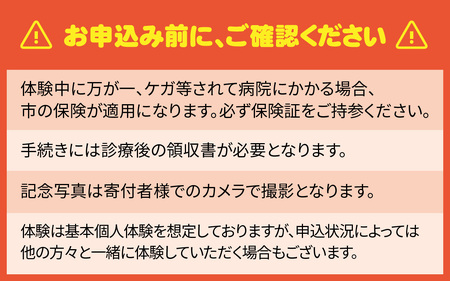 恐竜の街 勝山市　115消防ヒーロー体験 《［体験日］2026年4月29日（水）および、7月18日（土）～8月31日（月）の期間中の各土日（合計15日間） 》[A-000003] 