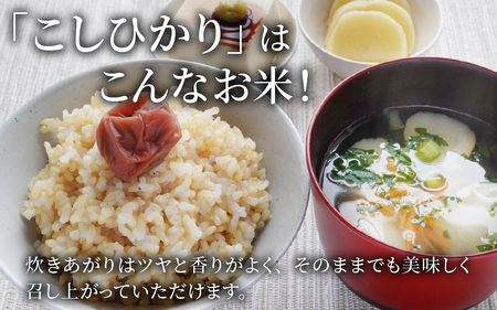 【先行予約】【令和6年産】【有機JAS認証米】南さんちのこしひかり 4kg（2kg×2袋）＜玄米＞  [A-075002]