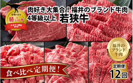 【肉の定期便×12回コース】肉好き大集合！若狭牛 食べ比べ 定期便！【福井のブランド牛肉】【4等級以上】[O-058002]