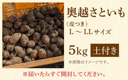 【勝山市産】 田中さんちの奥越さといも 5kg [A-080008]