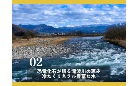 【2025年産新米】福井県勝山のおいしいコシヒカリ10kg [C-096002]