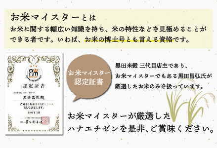 令和7年産 ハナエチゼン 10kg（5kg × 2袋）