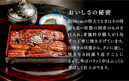 うなぎの蒲焼【特大サイズ２尾】
