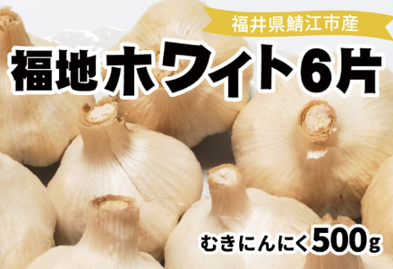 福井県産福地ホワイト6片むきにんにく 500g