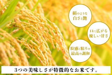いちほまれセット 4kg(2kg×2)とパックご飯3食