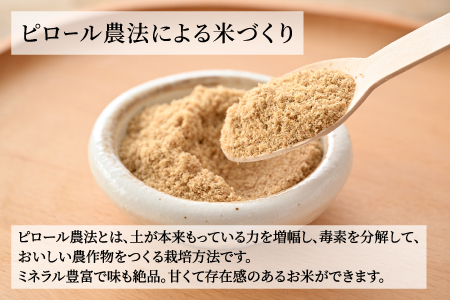 天然弱アルカリ性『家庭のなかで実践できる!ピロール玄米食セット』
