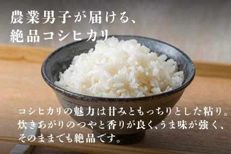 令和6年産　コシヒカリ　通常便（1回配送）計10kg（5kg×2袋）