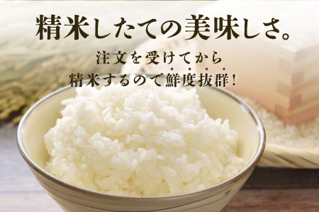 令和6年産　コシヒカリ　通常便（1回配送）計10kg（5kg×2袋）