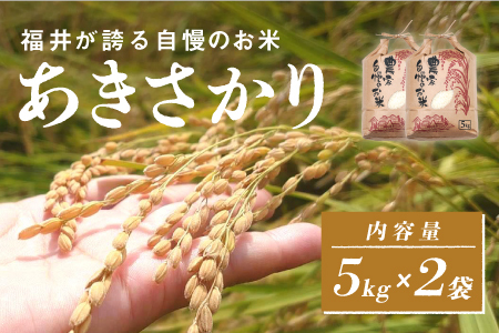 令和6年産　あきさかり　通常便（1回配送）計10kg（5kg×2袋）