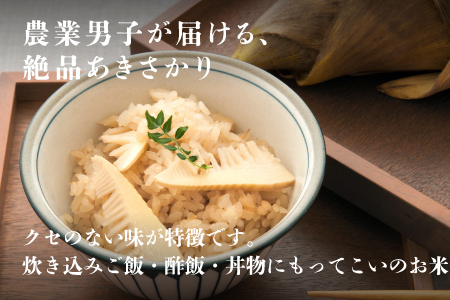 令和6年産　あきさかり　通常便（1回配送）計10kg（5kg×2袋）