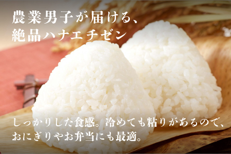 令和6年産　ハナエチゼン　通常便（1回配送）計10kg（5kg×2袋）