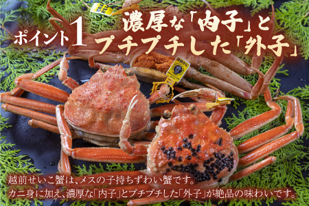 海鮮丼の具 越前せいこ蟹(タレ付き) 5人前