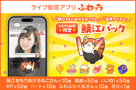 【ふるさと納税】ふるさと納税限定のアイテム「鯖江をもりあげるねこさん」と「通常アイテム」の詰め合わせパック！