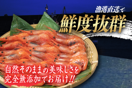 【小分け】越前産冷凍甘えび大サイズ 約250g × 4パック 合計約1.0kg 