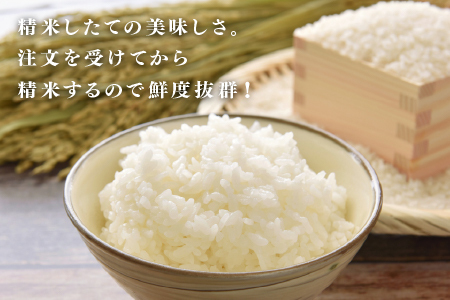 【数量限定！10袋限定販売！！】令和7年産 にじのきらめき　通常便（1回配送）計10kg（5kg×2袋