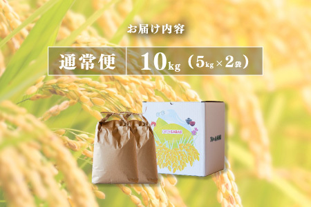 【数量限定！10袋限定販売！！】令和7年産 にじのきらめき　通常便（1回配送）計10kg（5kg×2袋