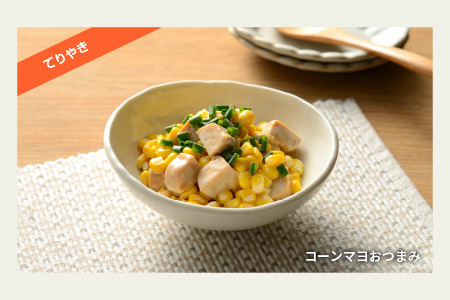 SOY PROTEIN＋ ソイプロテインプラス バータイプ 8個 / てりやき	