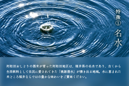 【数量限定】梵コラボ 純米大吟醸 地酒『河和田おしどり』