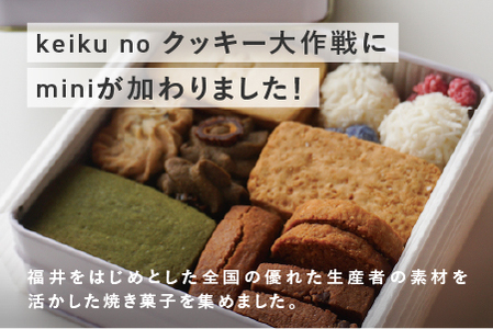 Keiku no クッキー大作戦--mini-- 【野尻ケイク】