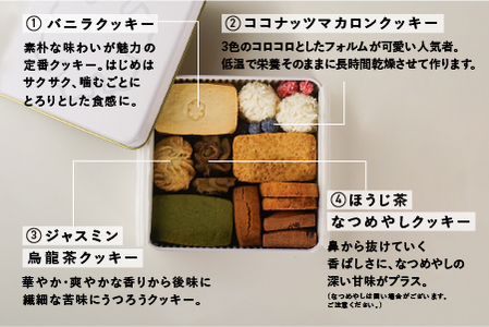 Keiku no クッキー大作戦--mini-- 【野尻ケイク】